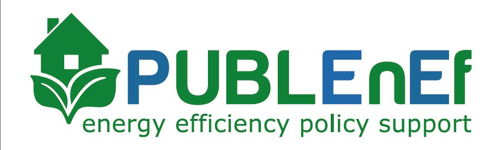 PUBLENEF logo